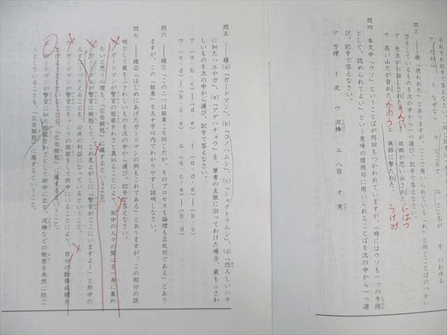 SAPIX 小6 サピックス デイリーA/B/スプリング/サマー 国語 通年