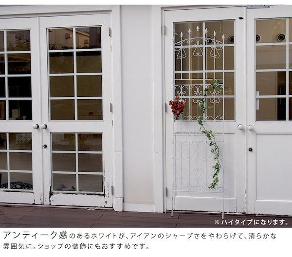 ロータイプ 2枚組