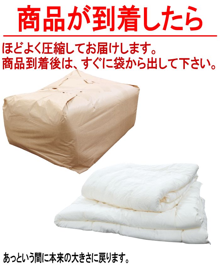 掛け布団 クイーン 2枚合わせ テイジン フィルケア 抗菌 防臭 日本製