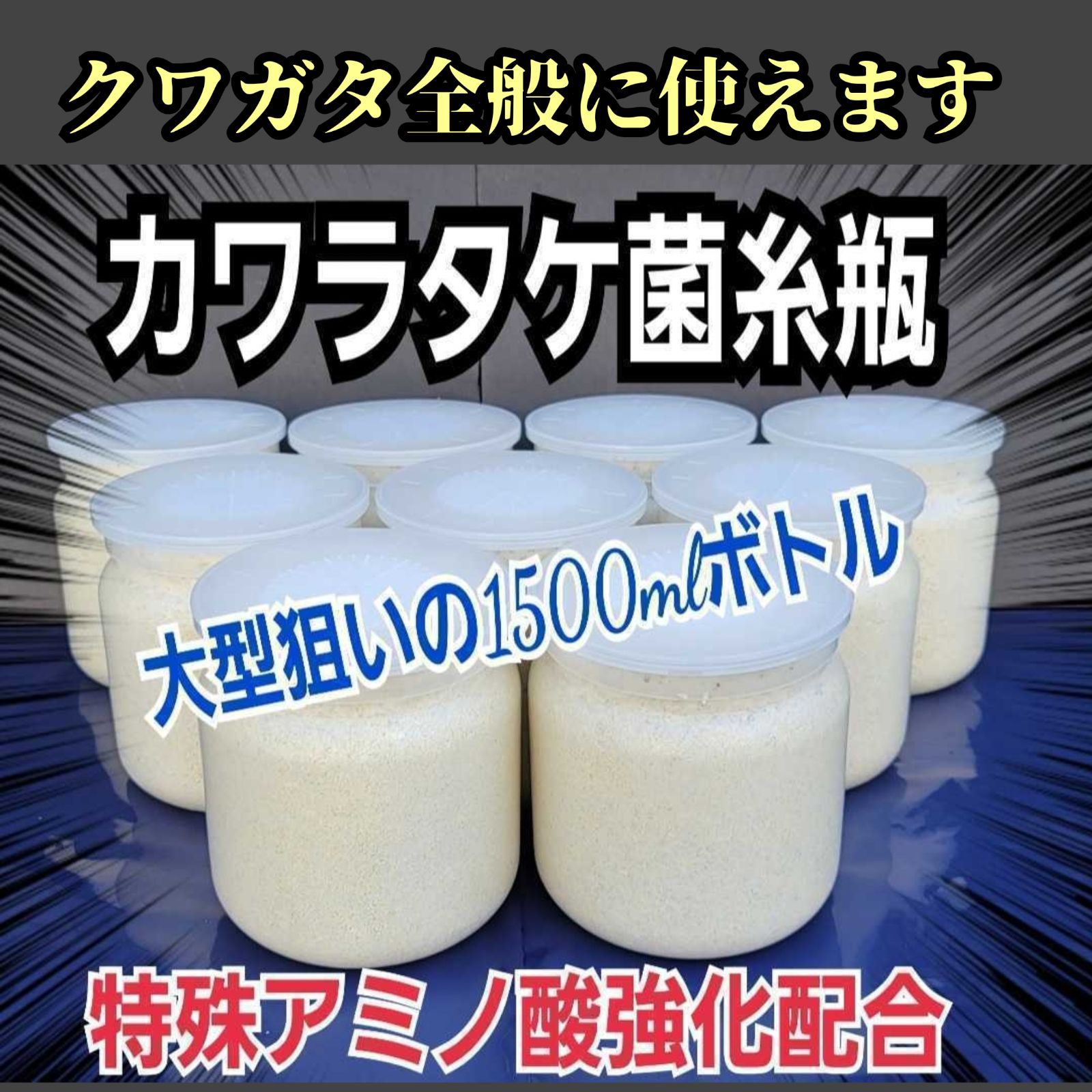 昆虫用品 特大サイズ カワラタケ 菌糸瓶 【3本セット】タランドゥス