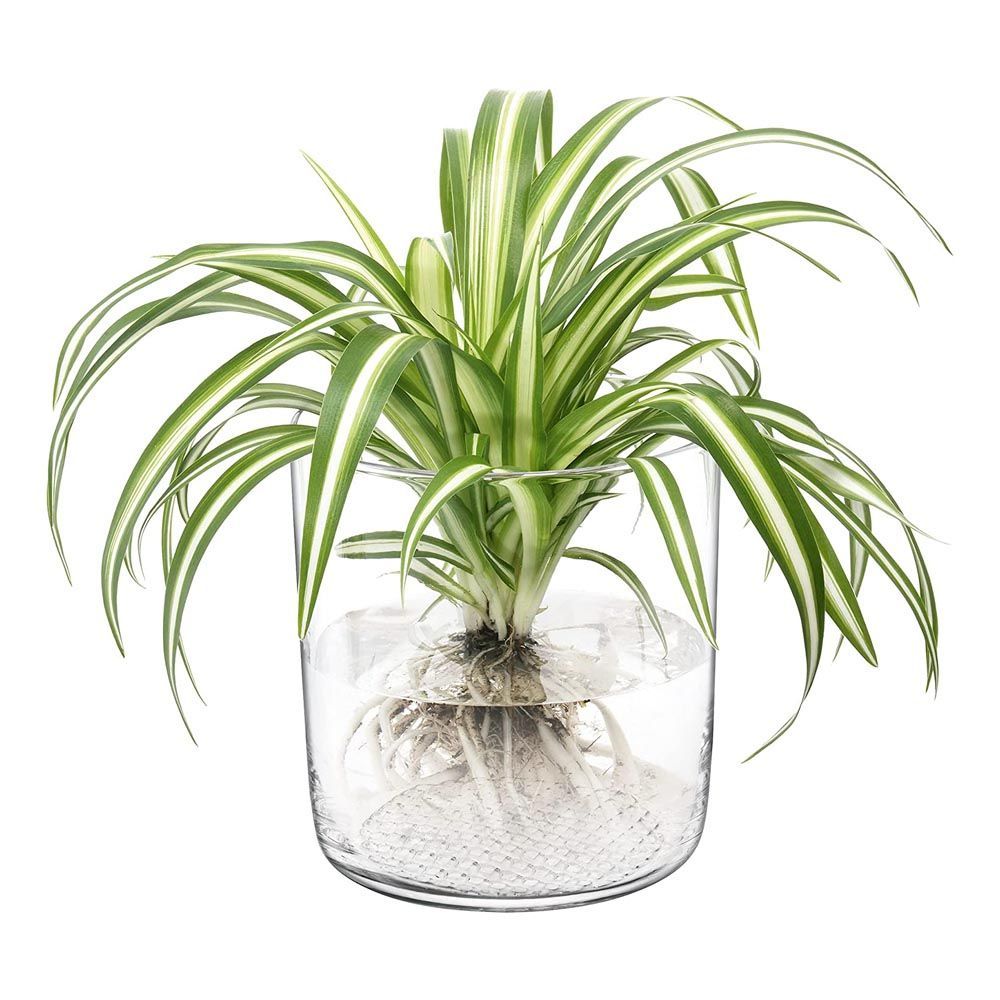 LSA エルエスエー フラワーベース プランター 花器 花瓶 ＆ キャンドルランタン Market G1673-16-139 LMF03