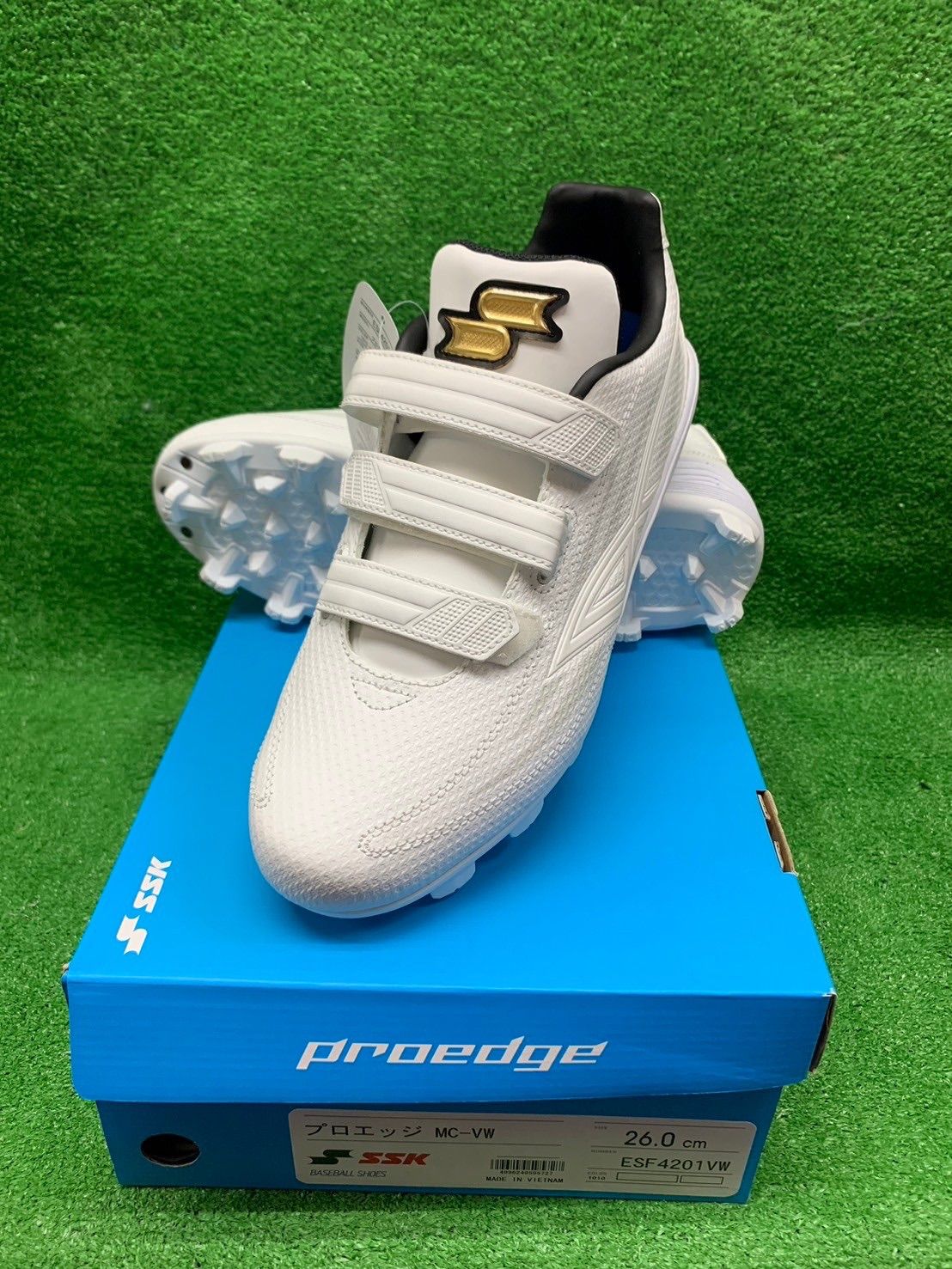 桃色の地図 清水正二郎 注文