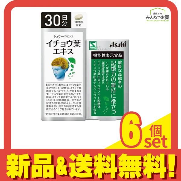 アサヒ シュワーベギンコ イチョウ葉エキス 90粒 (30日分) 6個セット まとめ売り