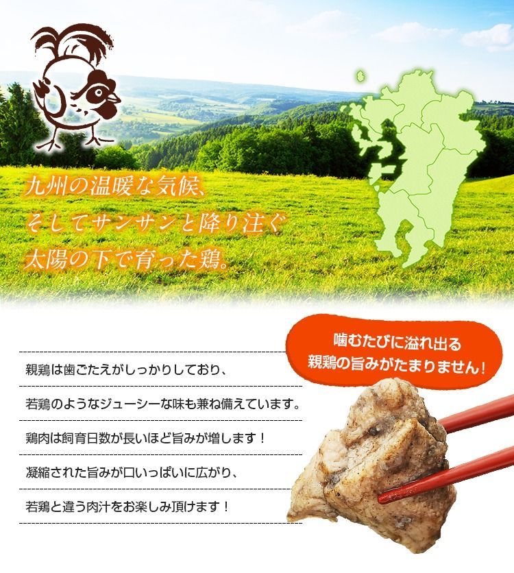 鶏の炭火焼き(親鶏) 100g×3袋 塩こしょう風味 送料無料 おつまみ 宮崎名物 地鶏 お試し 食品 肉 レトルト 珍味 [メール便]