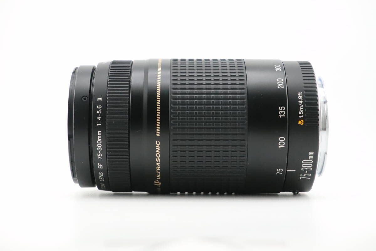  キヤノン CANON EF 75 300 mm F 4 5 6 II USM W 0916＃3365 レンズ(ズーム) カメラ