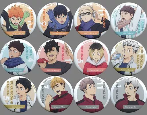 【中古】バッジ・ピンズ 全12種セット 「ハイキュー!! TO THE TOP トレーディングネームバッジ」