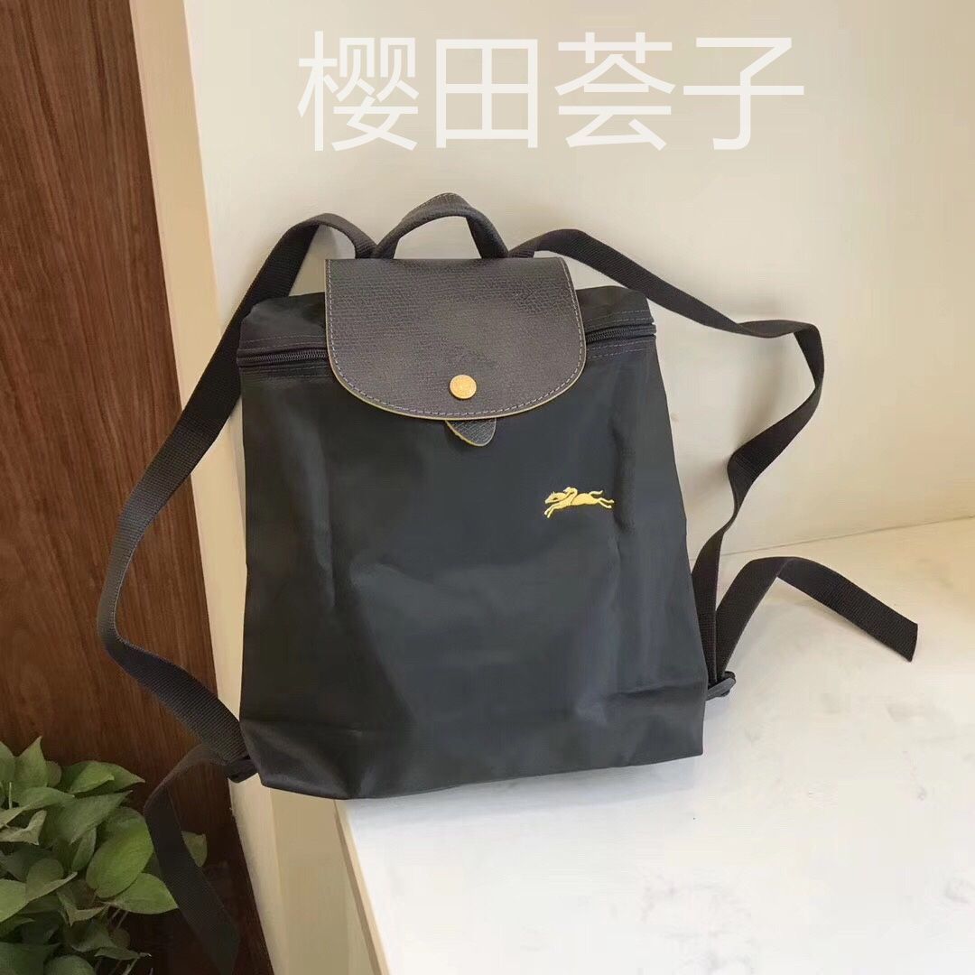 新品未使用 LONGCHAMP ロンシャン　リュック ガングレー