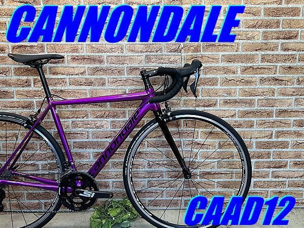 CANNONDALE キャノンデール DEEPPURPLE ディープパープル CANNONDALE キャノンデール DEEPPURPLE CAAD12 Cannondale CAAD12 Disc