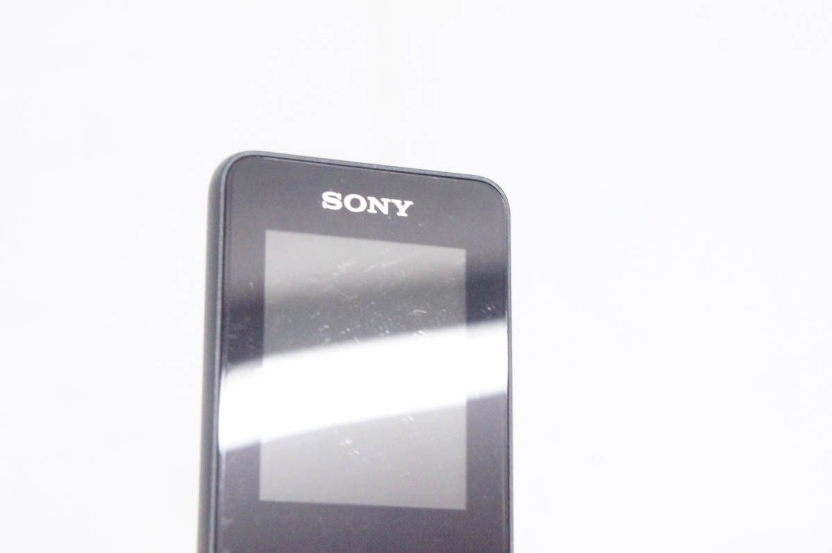 WALKMANウォークマン NW-S313