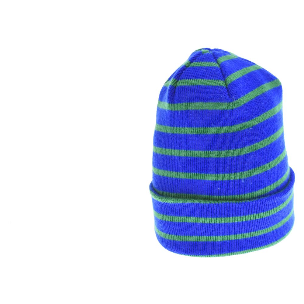 SUPREME (シュプリーム) 14AW Team Stripe Beanie チームストライプ