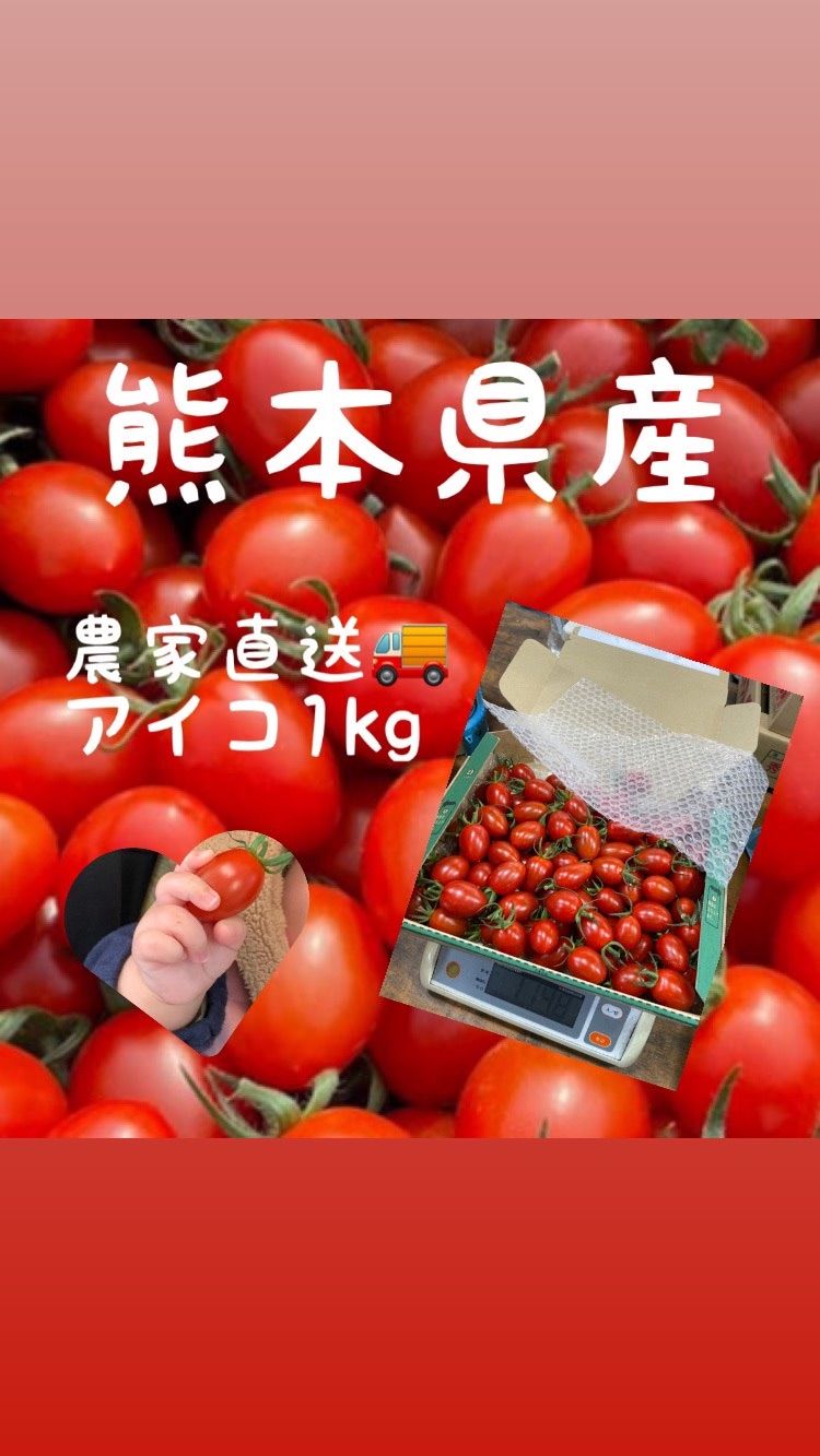熊本県産アイコトマト１kg-0