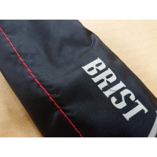 フィッシュマン ブリスト