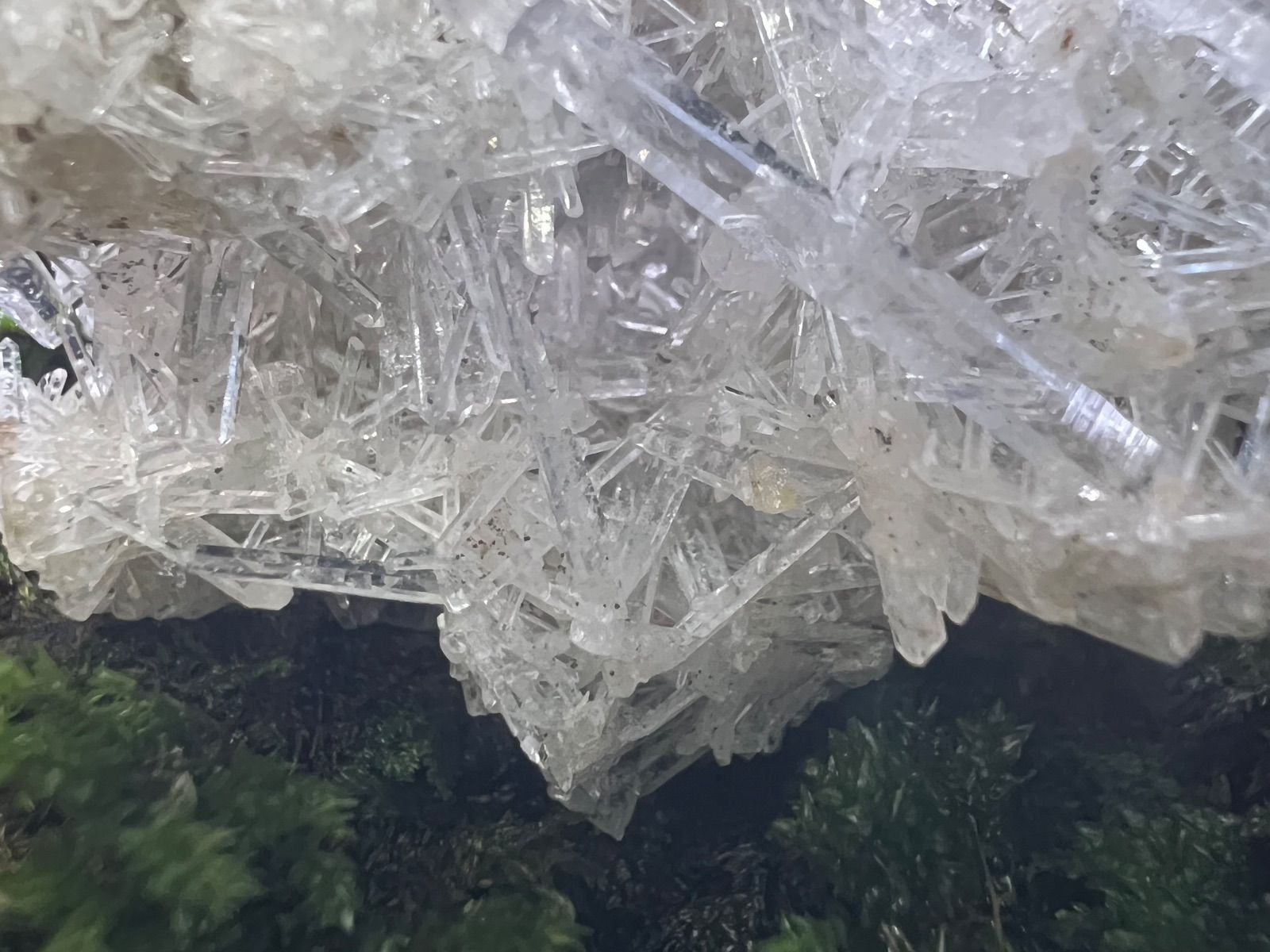 龍脈の精髄 水晶 純白の守護と浄化の光 売上一部保護猫活動に使用 龍脈の精髄 水晶 魂を導く結晶の花 売上一部保護猫活動