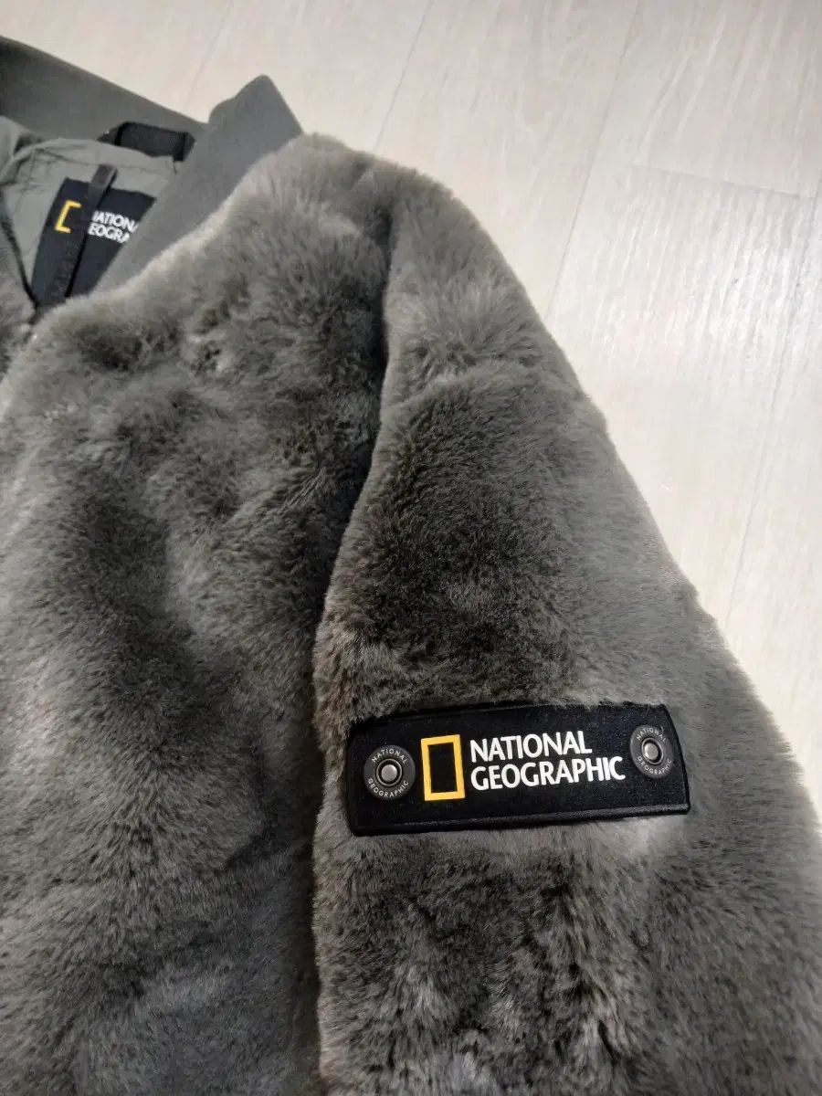 ナショナルジオグラフィック