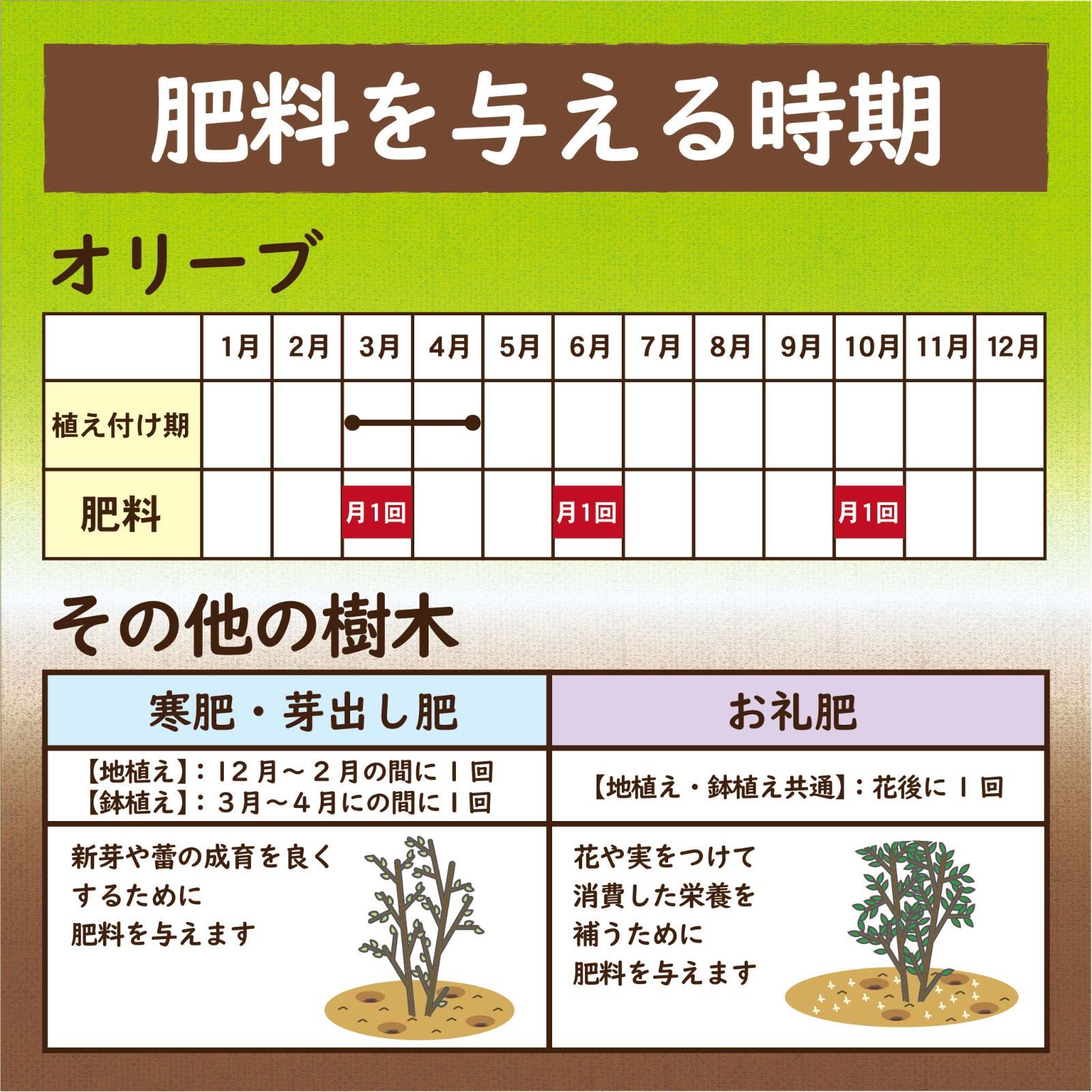 オリーブとシンボルツリーの肥料　250ｇ