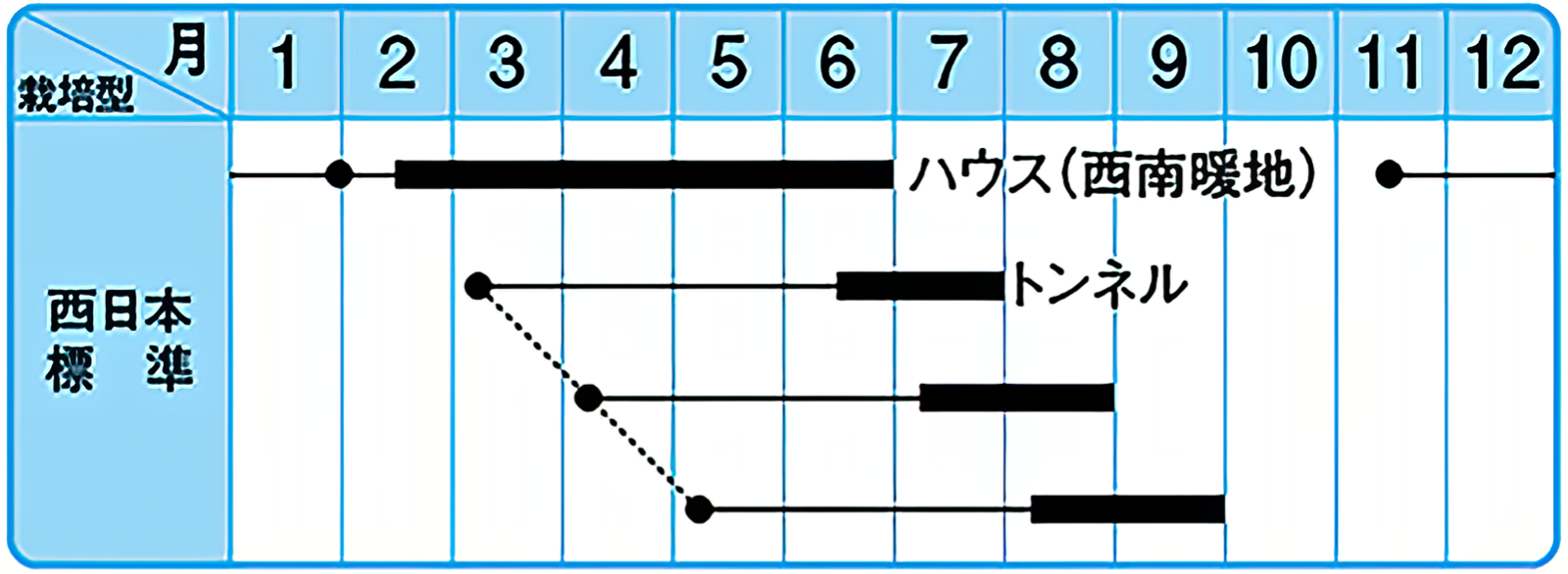 野菜種子 EAF あばしゴーヤ 4粒 x 2袋