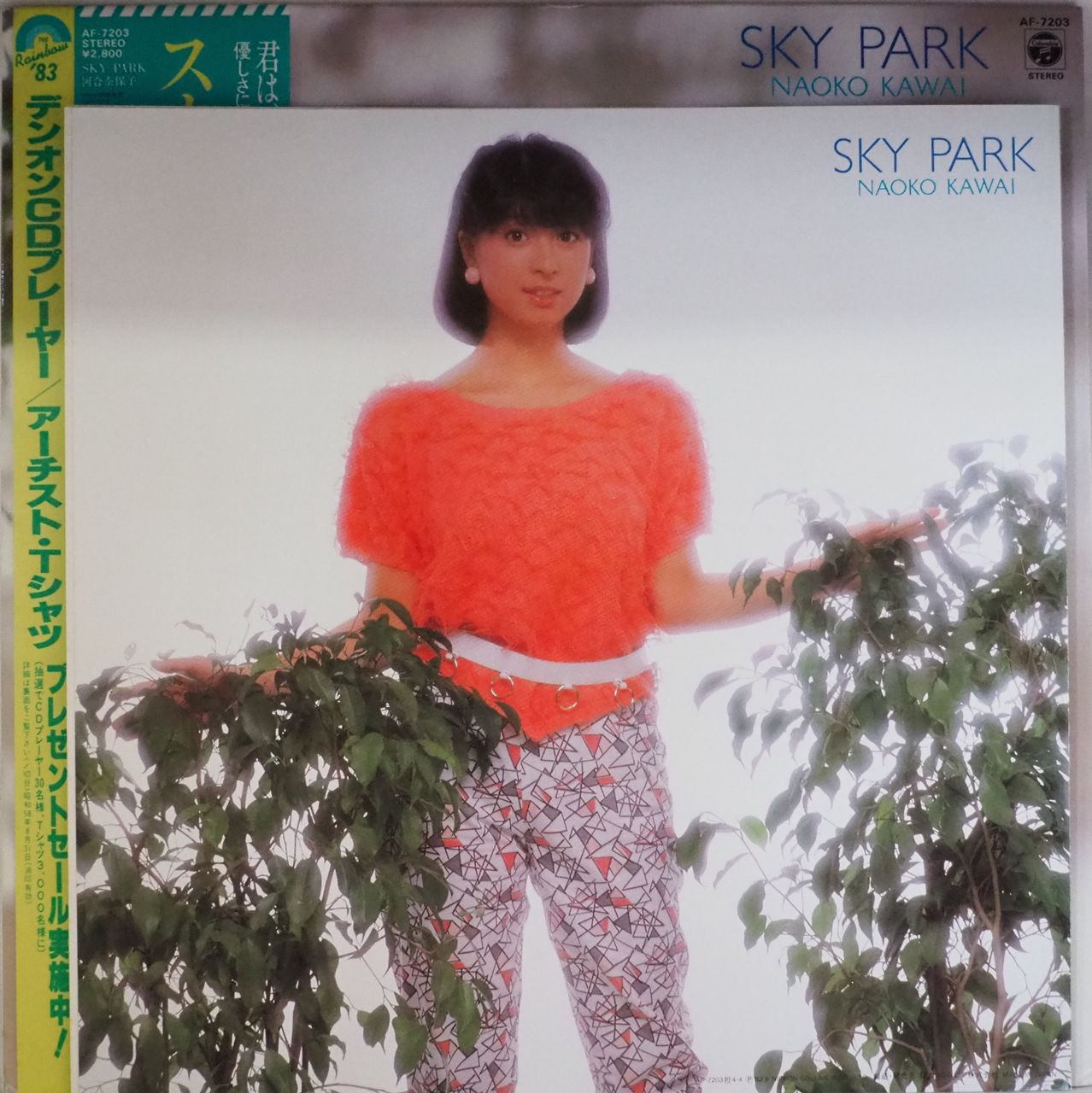 河合奈保子／スカイ・パーク（初回プレス盤・大型ポートレート