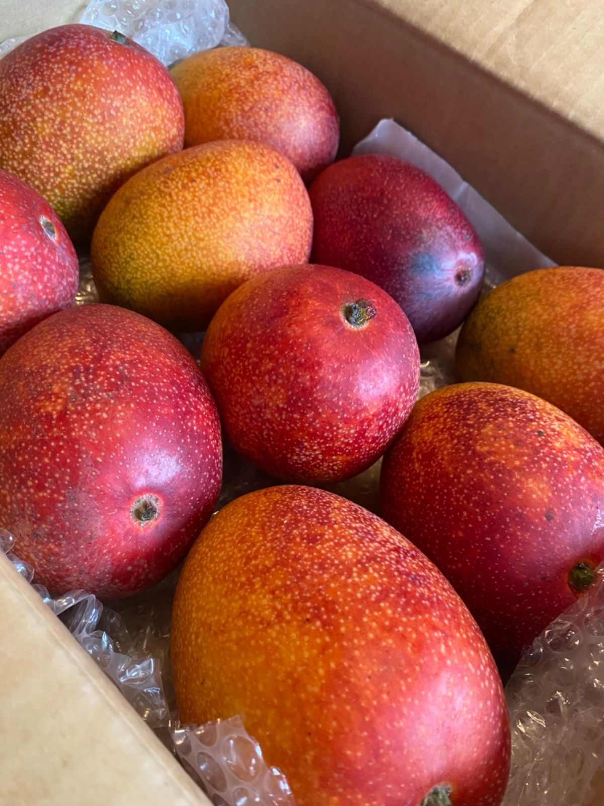 宮崎 完熟 マンゴー 家庭用 9玉 4k 特大 訳あり 加工用黒点】宮崎完熟