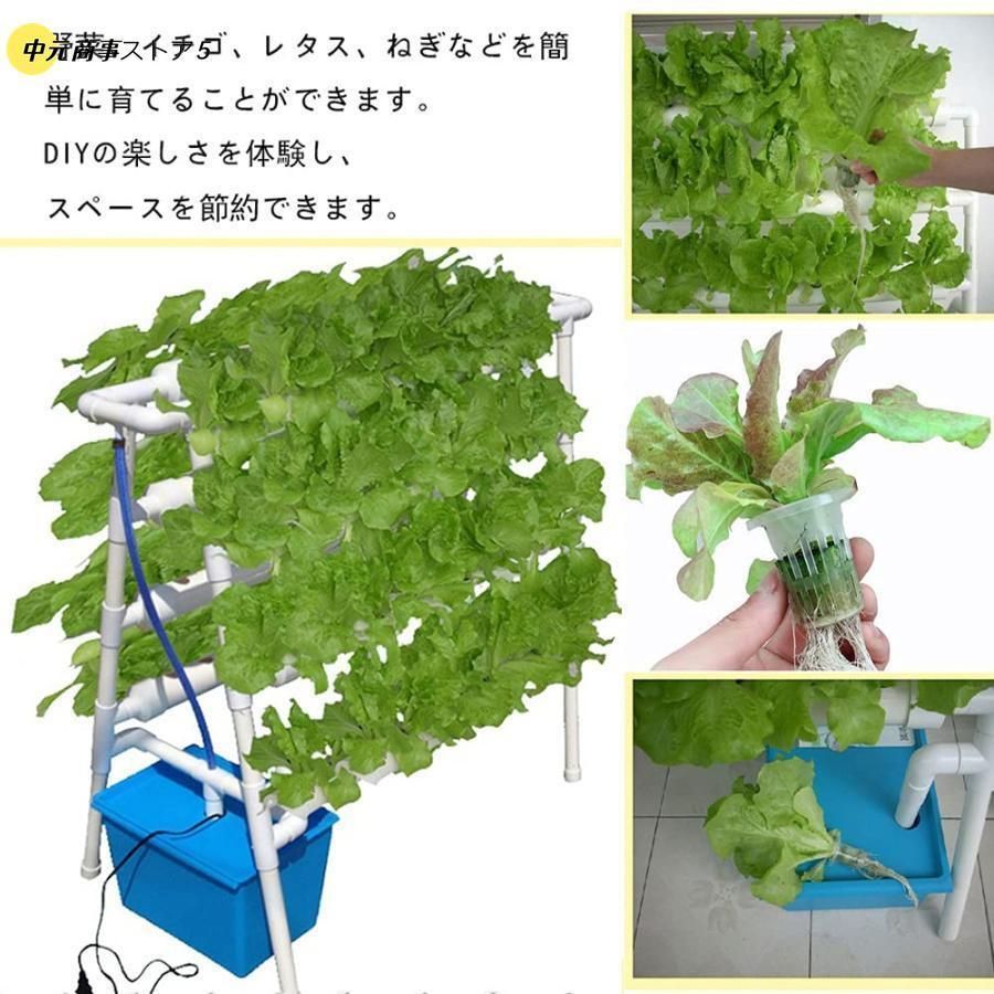 プランター72穴