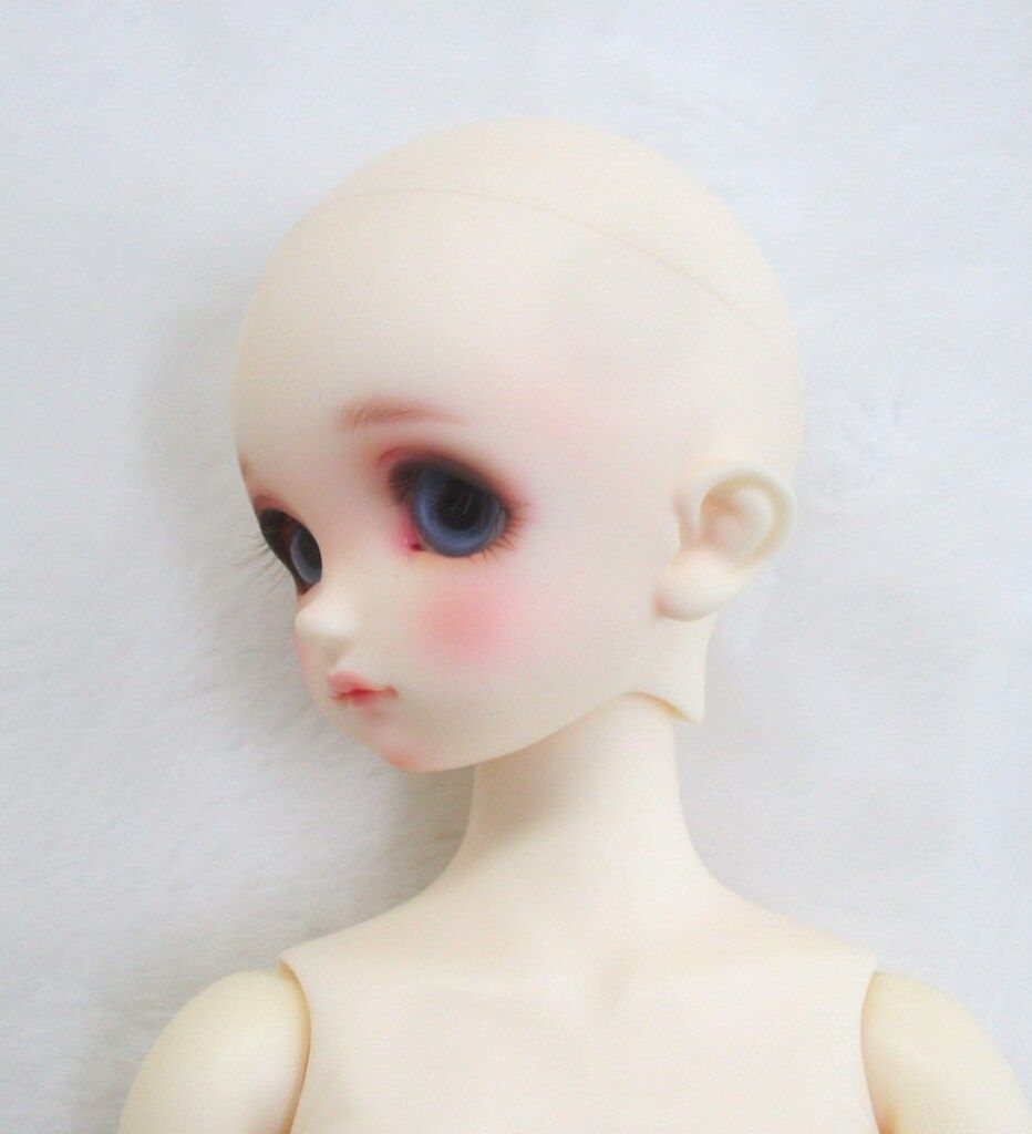 SDM女の子 コーディネートモデル