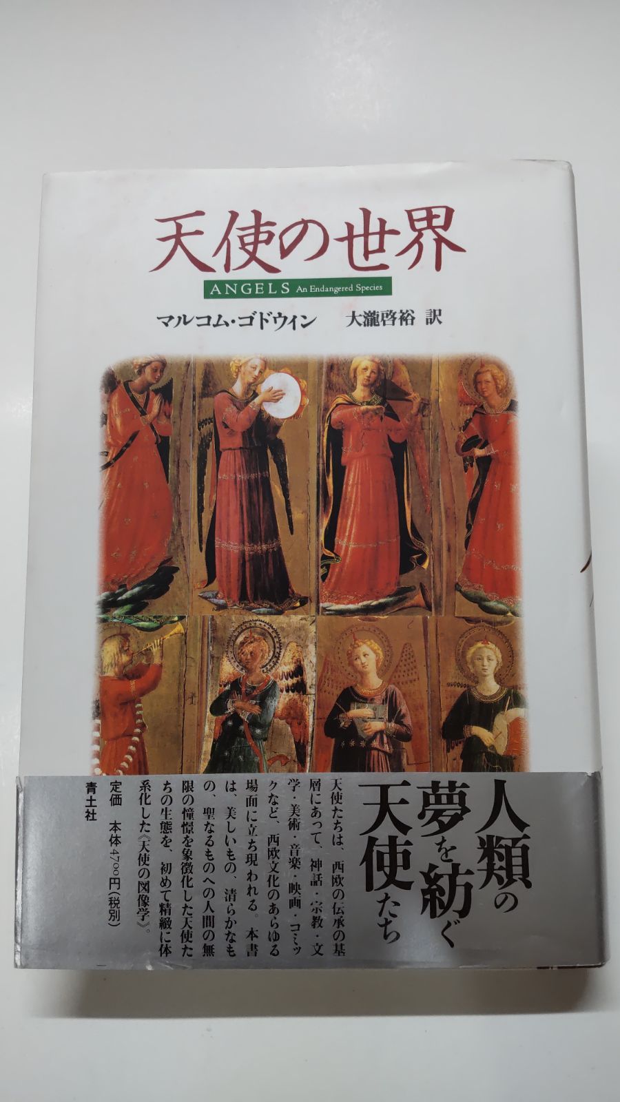 天使の世界 マルコム・ゴドウィン 大瀧啓裕訳 青土社 - メルカリ