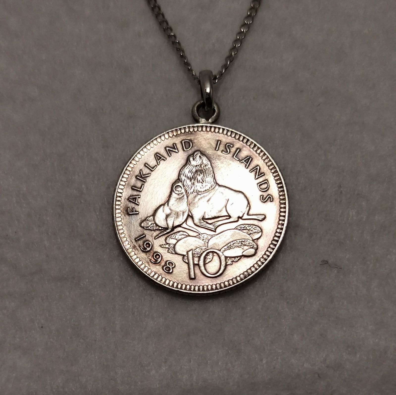 南米アシカ フォークランドのコインネックレス