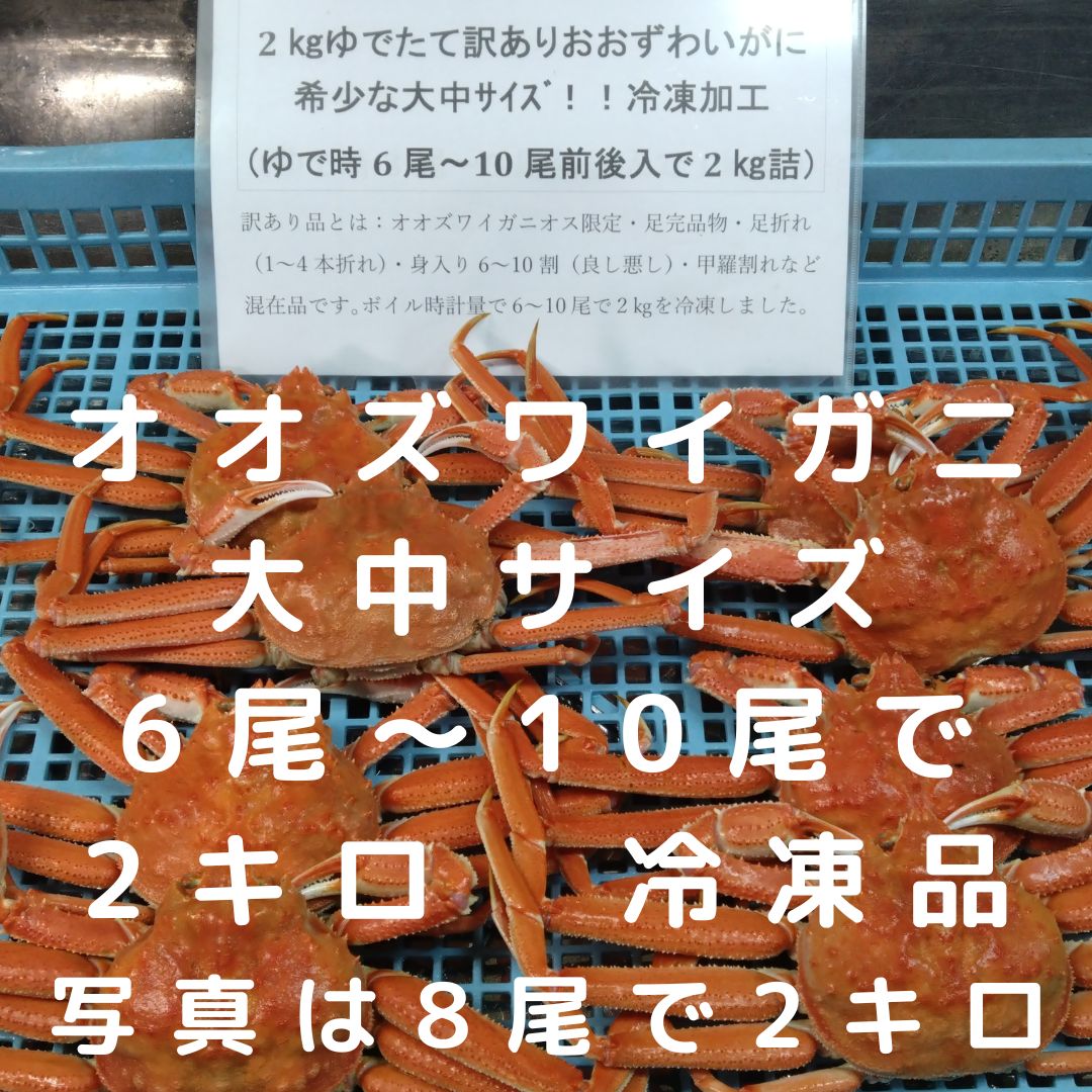 大中サイズ おおずわい6尾から10尾前後入で2.0㎏詰 冷凍便