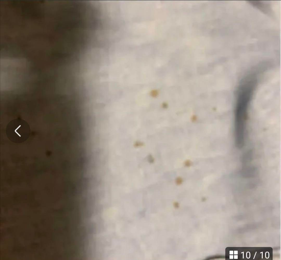 ラングラー ビンテージ