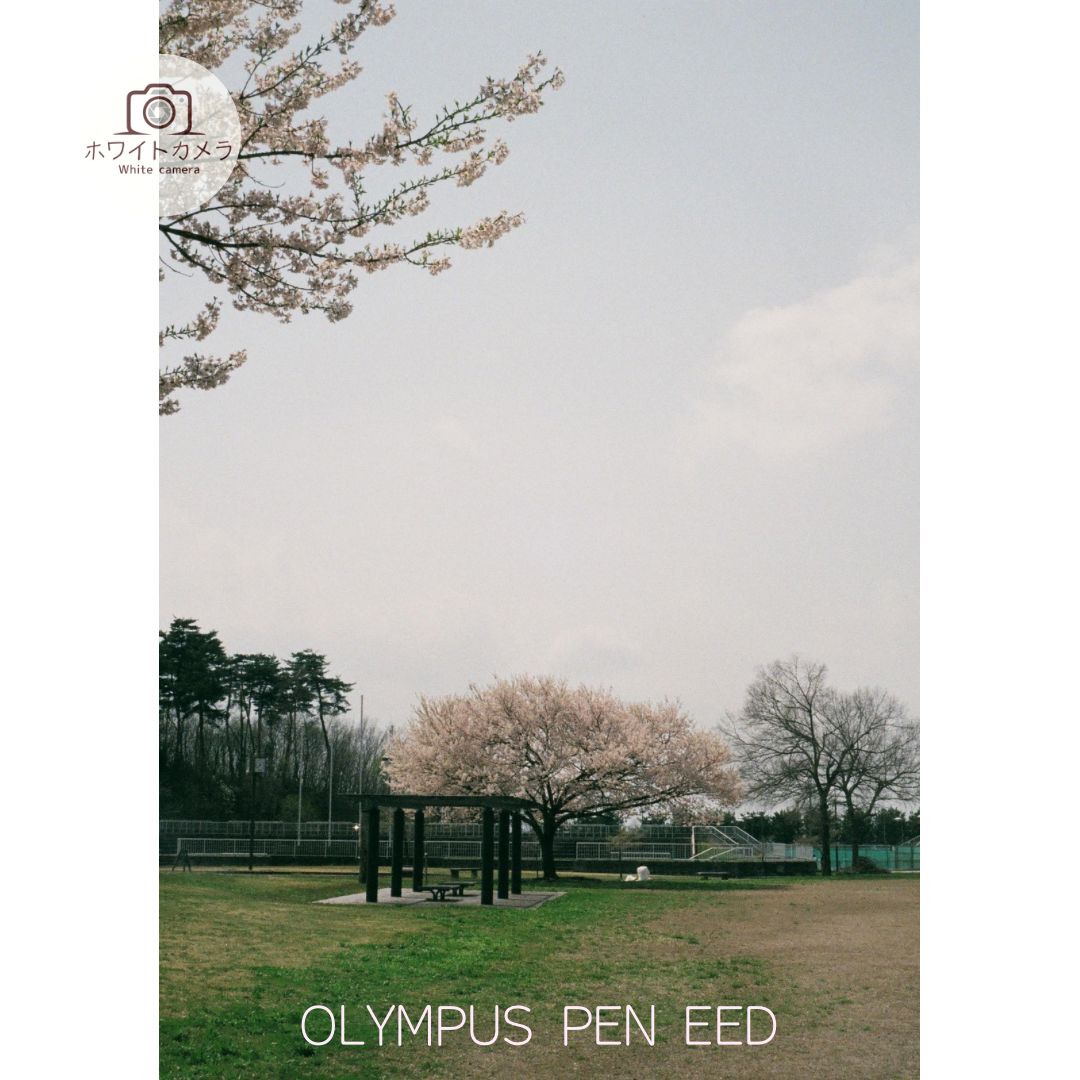 完動品 OLYMPUS