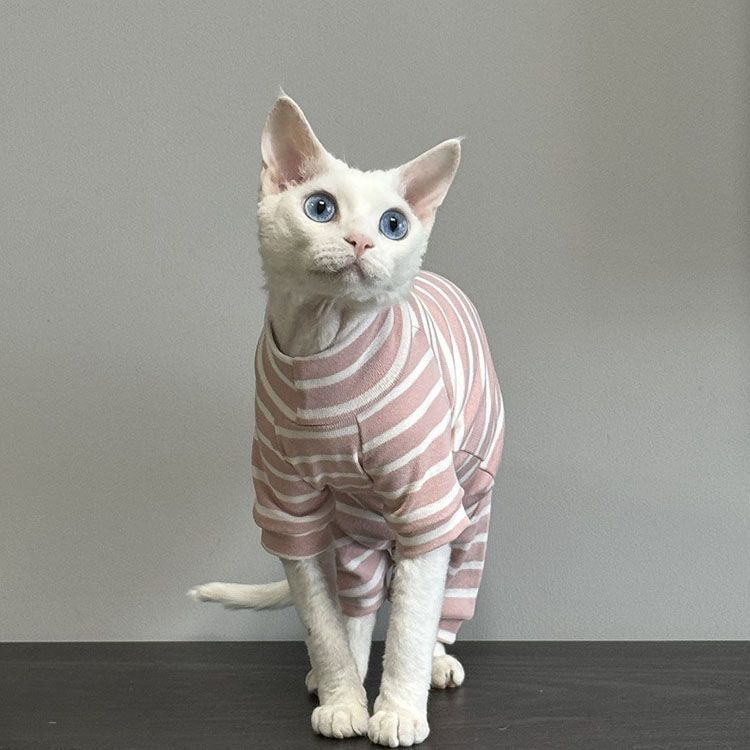 スフィンクス猫 キャットウエア 猫服 長袖 柔らかい 肌着 ストライプ セーター パーカー 春夏秋 コニス無毛の猫 着脱簡単 アウトドア ペットバッグ ペットウエア xzdscvv STEELWINDOWSANDDOORS_COM