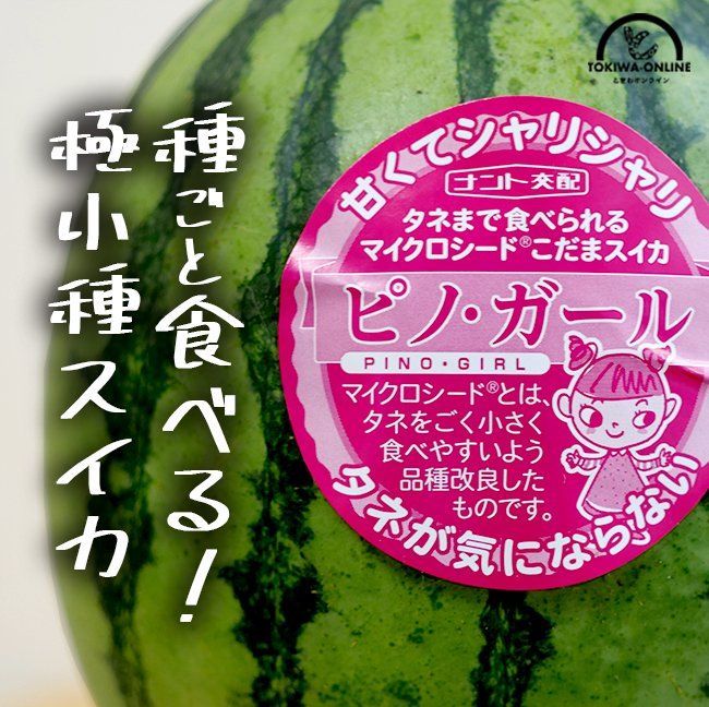 ６５００円・４玉入り「すいかランキング第1位」「ピノガール」種まで食べられます 5850円・「すいかランキング第1位」「ピノガール」種まで