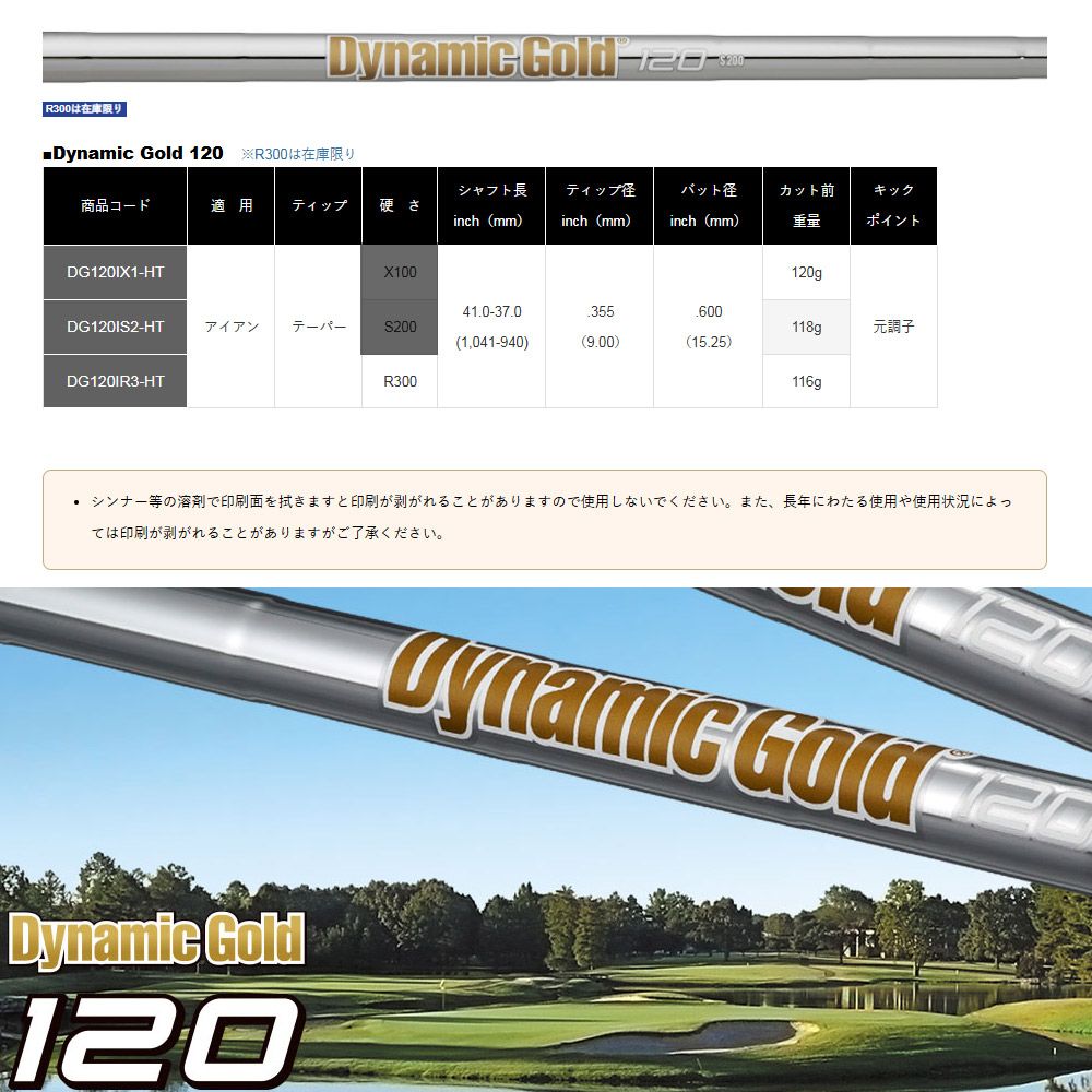 特別価格】トゥルーテンパー ダイナミックゴールド120 R300 5-PW/6本 