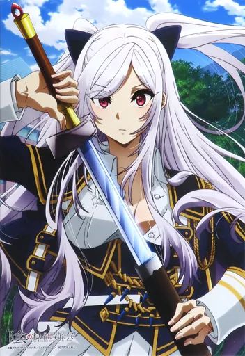 キャンバスボード キャンバスアート アレクシア ミドガル アニメ描き下ろしイラスト使用キャンバスアート Blu-ray|DVD 陰の実力者になりたくて! Amazon.co.jp全巻 特典