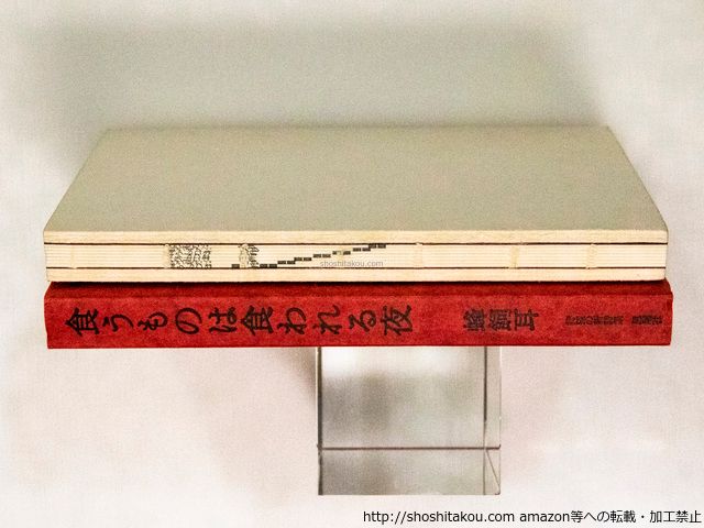 ◾️青林堂◾️ みぎわぱん ぱんこちゃん みぎわパン / ぱんこちゃん