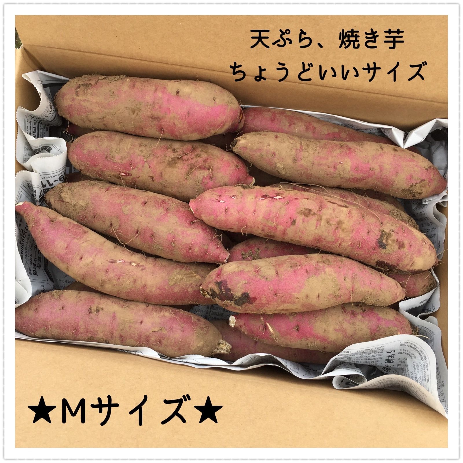 紅はるかA級品Mサイズ】茨城県産！2023年新物（さつまいも）5kg - メルカリ