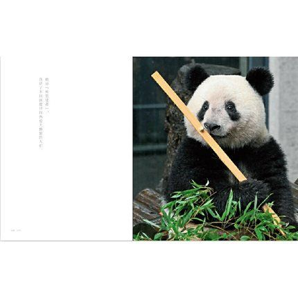 国内発送 上野動物園パンダシャンシャン写真集（日本未発売）「被宠溺