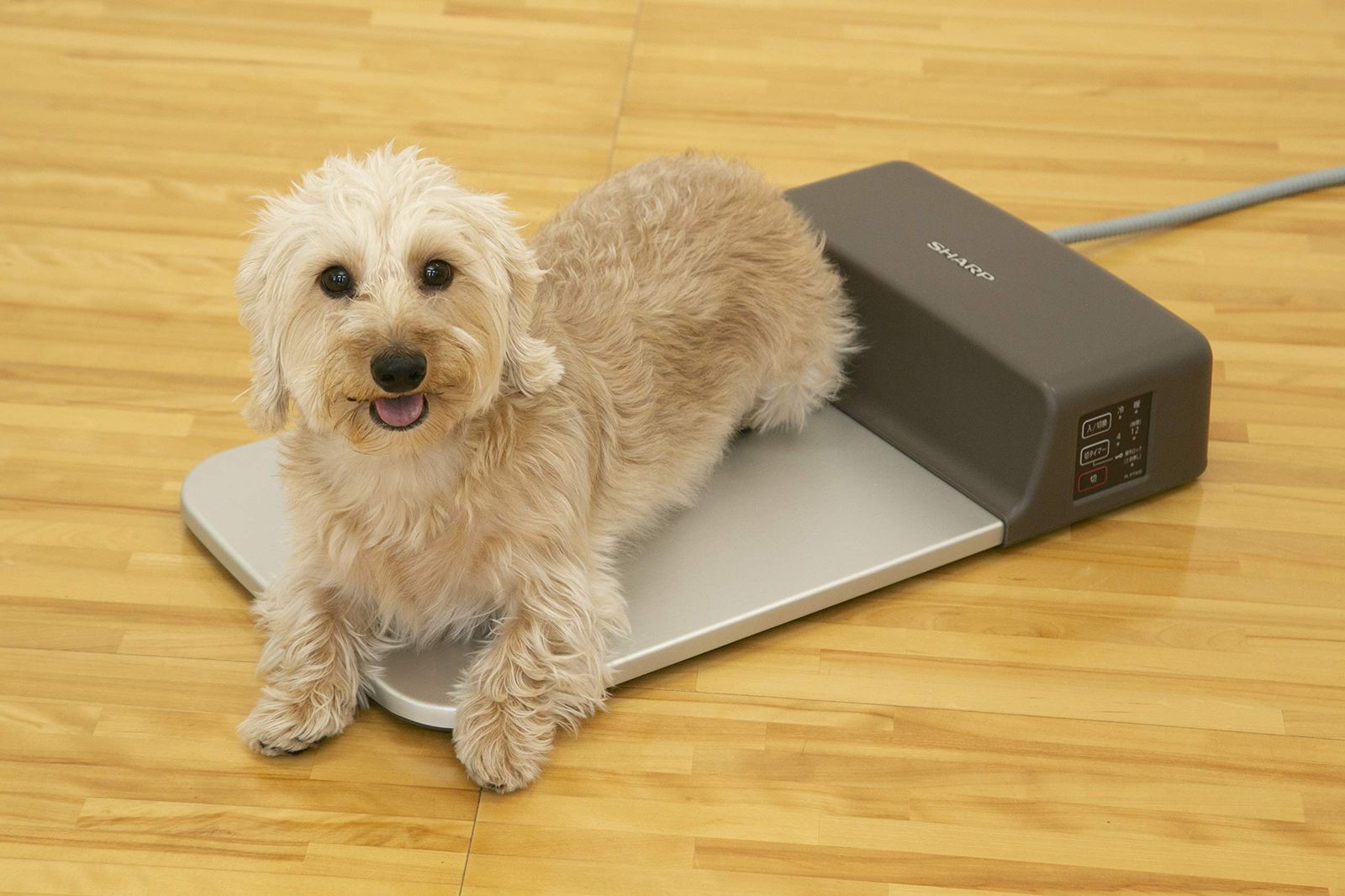 ペット用冷暖プレート PL-PT40D SHARP シャープ 犬 猫 凉 マット シャープ ペット用冷暖マット PL-PT40D-T ペット用冷暖プレート PL