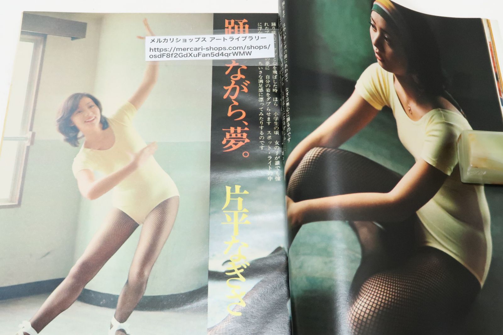 山口百恵邦画 LD コレクション 14作品➕写真集 山口百恵邦画 LD コレクション 14作品➕写真集 Amazon.co.jp