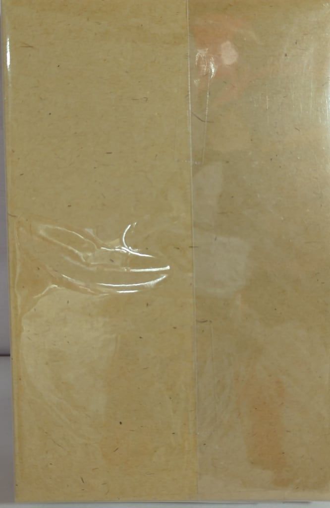 CHERRY MILK 55-60cm バスト23-25cmまで Fate Grand Order 浅上藤乃