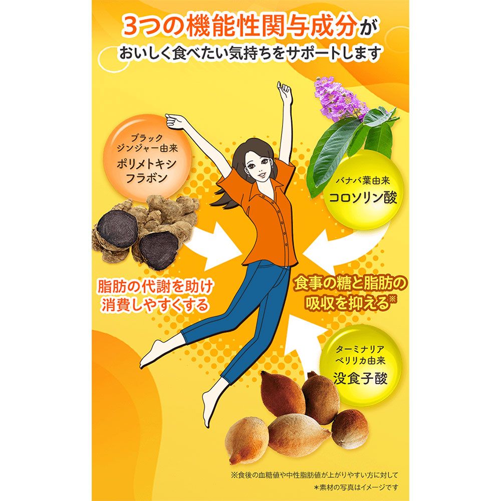 DHC カロリーポン 20日分 60粒入 健康食品 10個セット まとめ売り 小売