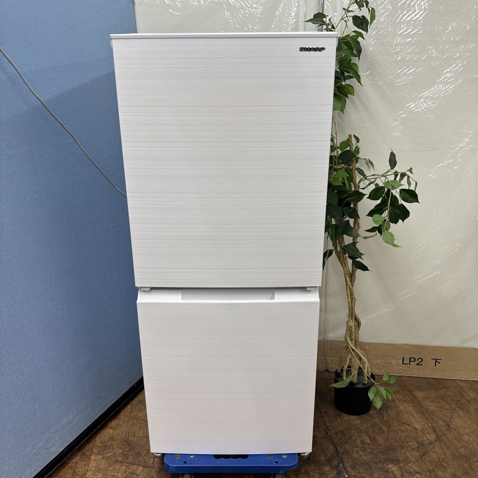 名古屋近郊限定　2023年 シャープ　冷蔵庫　152L SHARP シャープ 2023年製 152L 2ドア 冷凍冷蔵庫 SJ-D15K 販売中
