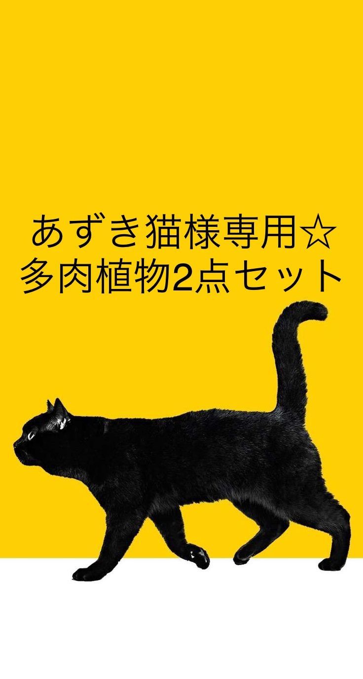 取引企業は交渉注視 猫様 専用出品です breithaupt.com.br