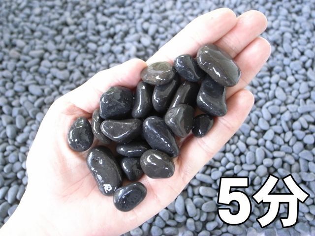 真黒石 黒砂利