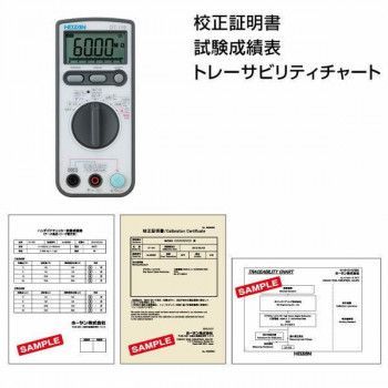 校正書付DT-119-TA