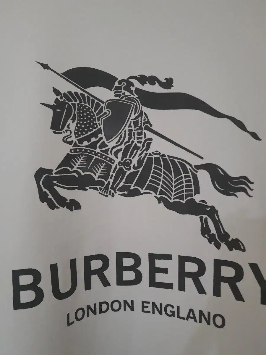 バーバリー半袖純正Tシャツ