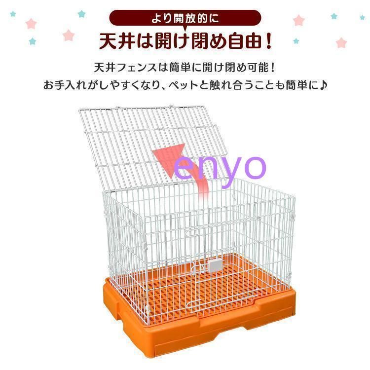 うさぎ
