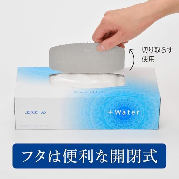 5箱×10パック パルプ
