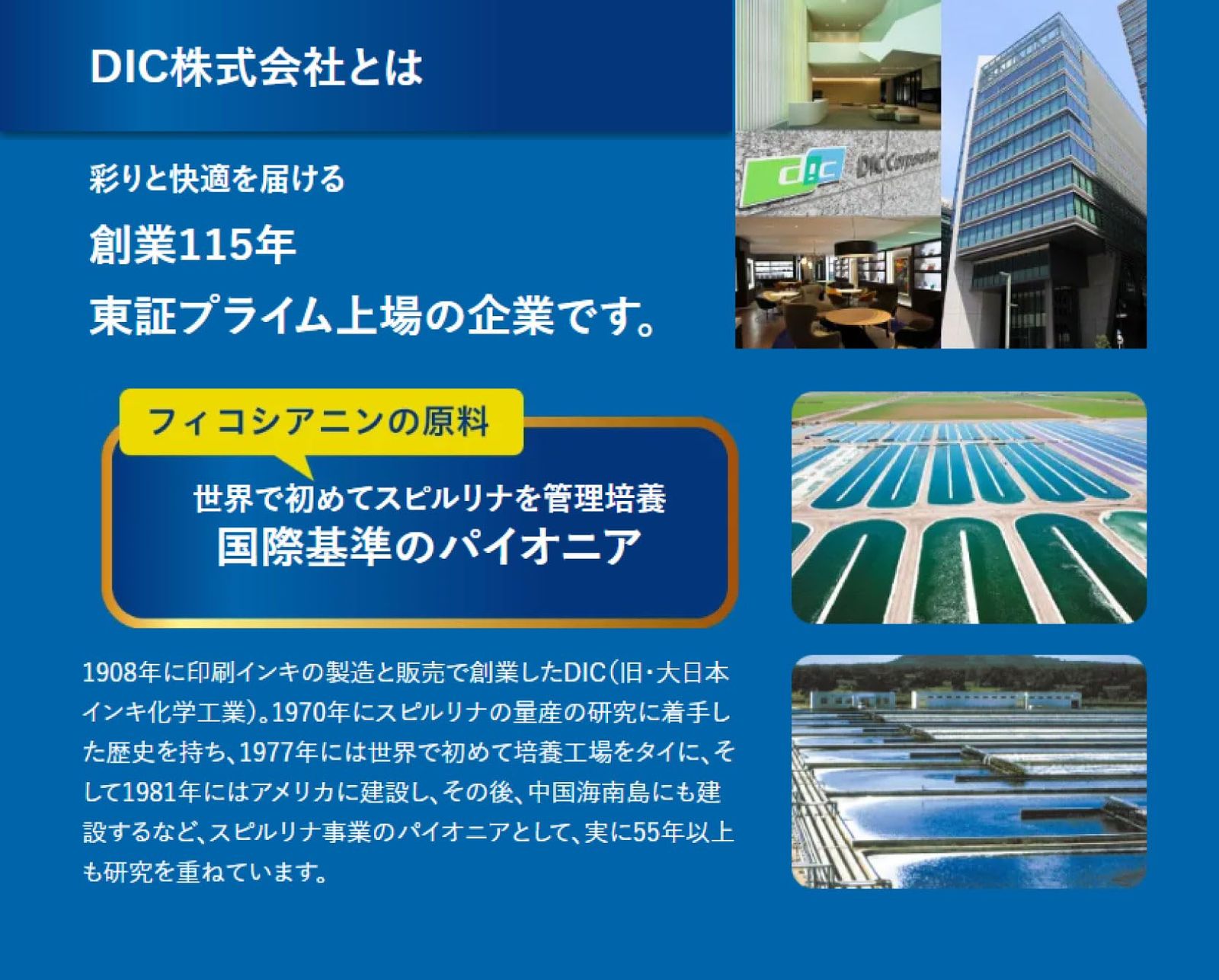 ネクスト
