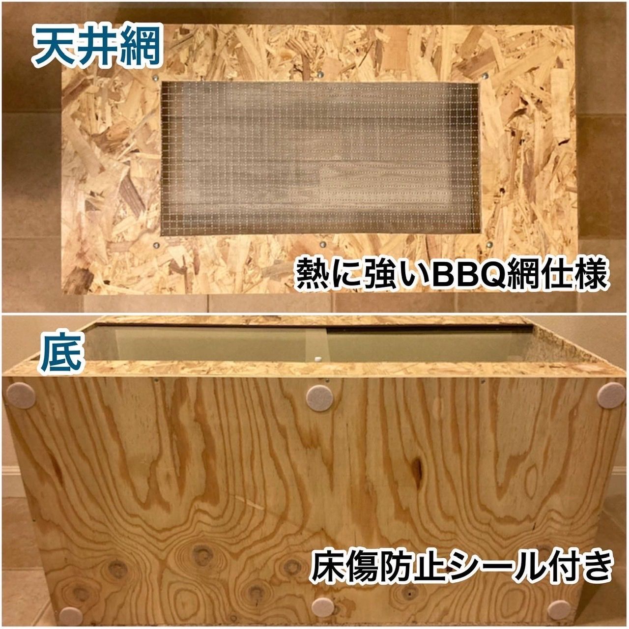 フトアゴヒゲトカゲ ハリネズミ