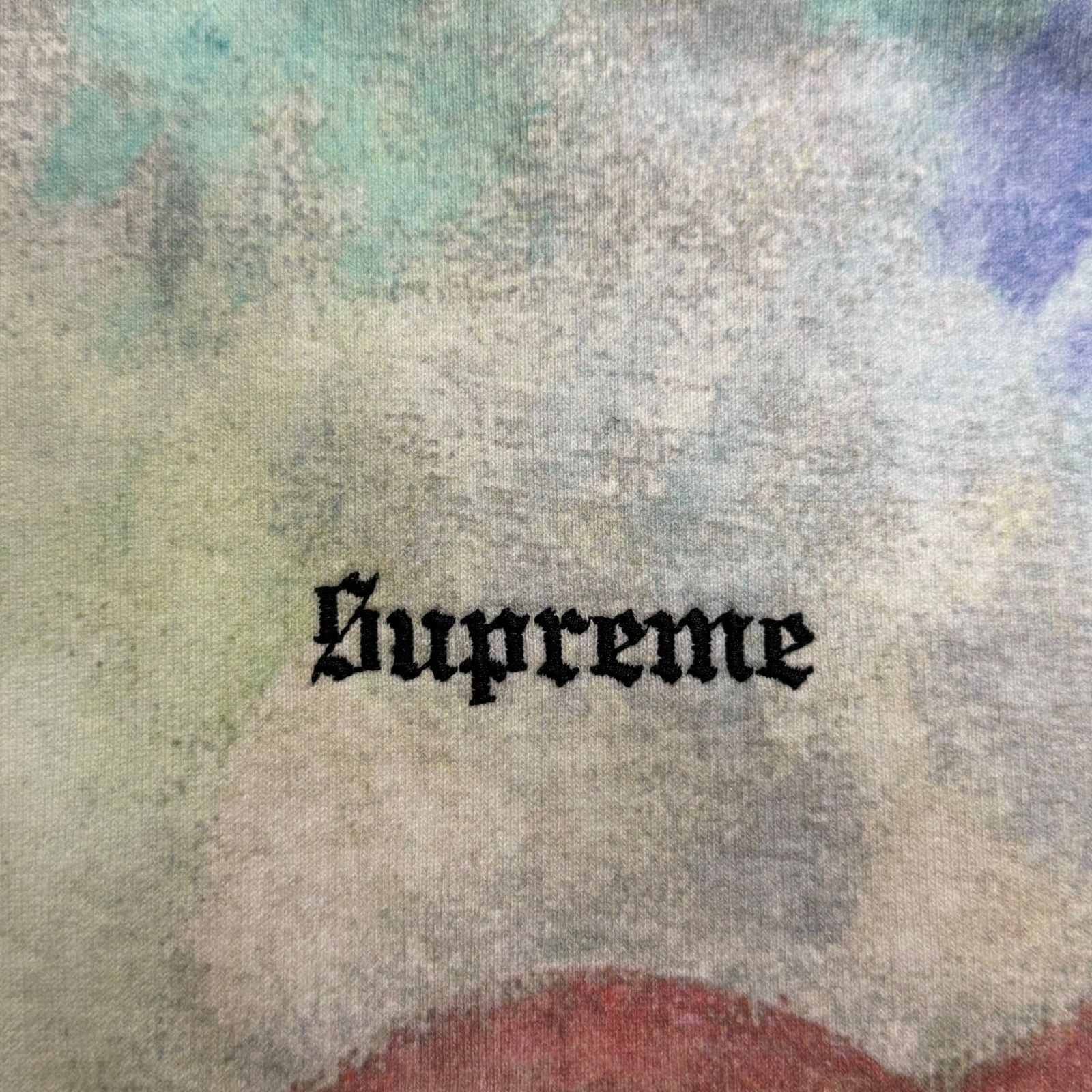 国内正規 新品 Supreme Landscape Hooded Sweatshirt マーブル 